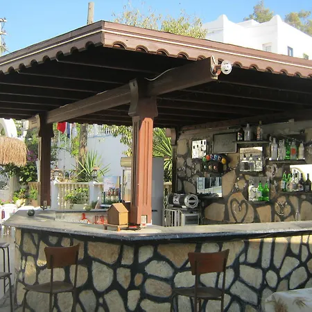 Delfin Bodrum