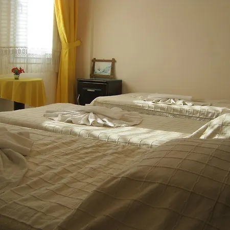 Delfin Отель Бодрум